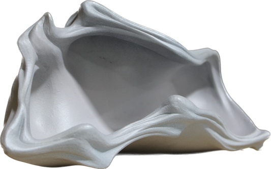 Abstract Shell Sculpture